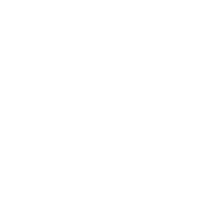 Studien & Trends Studien & Trends